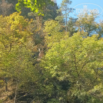 фото из отзыва ID 2747938