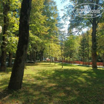 фото из отзыва ID 2747938