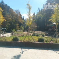 фото из отзыва ID 2747938