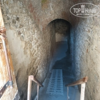 фото из отзыва ID 2747938