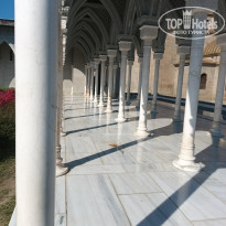 фото из отзыва ID 2747938