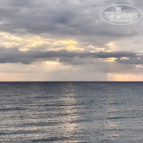 фото из отзыва ID 2747948