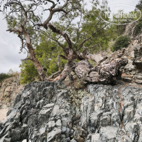 фото из отзыва ID 2747948