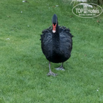 фото из отзыва ID 2747948