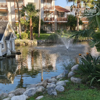 фото из отзыва ID 2747948