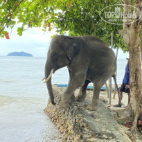 фото из отзыва ID 2747971