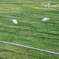 фото из отзыва ID 2748022