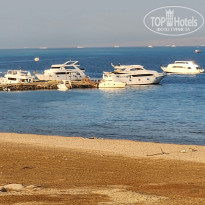 фото из отзыва ID 2748022