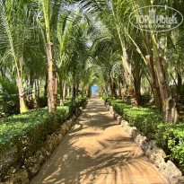 фото из отзыва ID 2748046