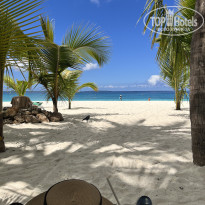 фото из отзыва ID 2748046