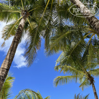 фото из отзыва ID 2748046