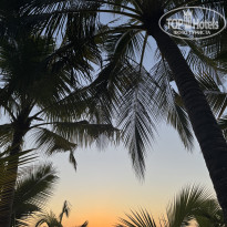 фото из отзыва ID 2748046