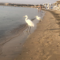 фото из отзыва ID 2748054