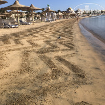 фото из отзыва ID 2748054