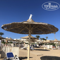 фото из отзыва ID 2748054