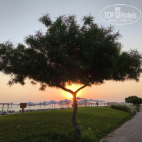 фото из отзыва ID 2748054