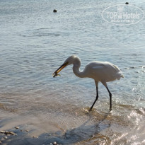 фото из отзыва ID 2748054