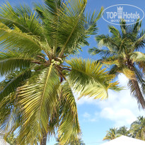 фото из отзыва ID 2748287