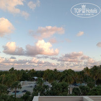 фото из отзыва ID 2748287