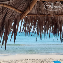 фото из отзыва ID 2748287