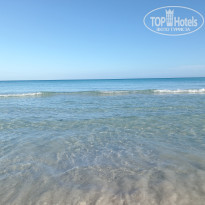 фото из отзыва ID 2748287