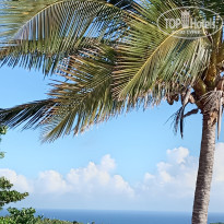 фото из отзыва ID 2748287