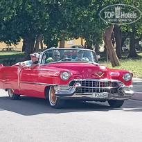 фото из отзыва ID 2748287