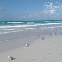 фото из отзыва ID 2748287