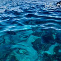 фото из отзыва ID 2748332