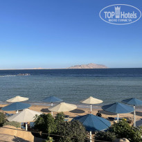 фото из отзыва ID 2748332