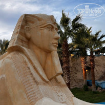 фото из отзыва ID 2748575