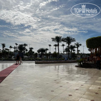 фото из отзыва ID 2748575