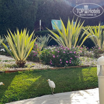 фото из отзыва ID 2748575