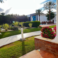 фото из отзыва ID 2748575