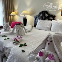 фото из отзыва ID 2748575