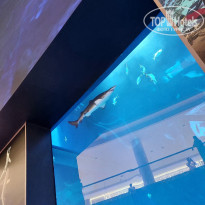 фото из отзыва ID 2748598