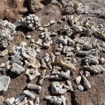 фото из отзыва ID 2748618