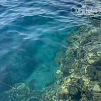 фото из отзыва ID 2748618