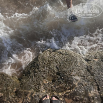 фото из отзыва ID 2748618