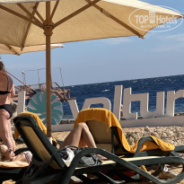 фото из отзыва ID 2748618