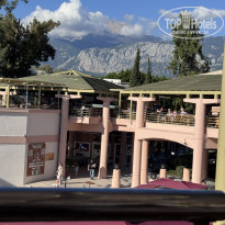 фото из отзыва ID 2748659