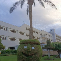 фото из отзыва ID 2748758