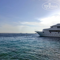 фото из отзыва ID 2748758