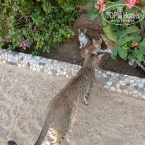 фото из отзыва ID 2748758