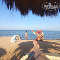 фото из отзыва ID 2748652