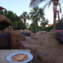 фото из отзыва ID 2748652