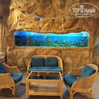 фото из отзыва ID 2748652