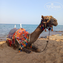 фото из отзыва ID 2748652