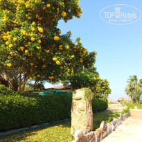 фото из отзыва ID 2748652