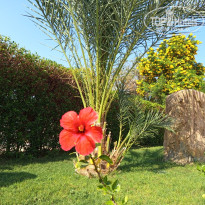 фото из отзыва ID 2748652